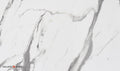 Bianco Carrara Marble