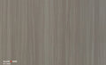 Japanese Yew (straight)