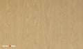 Amber Maple (Mountain)