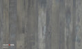 Four Seasons Elm