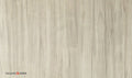 Danish maple (mountain)