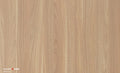Virginia Yellow Walnut (mountain grain)